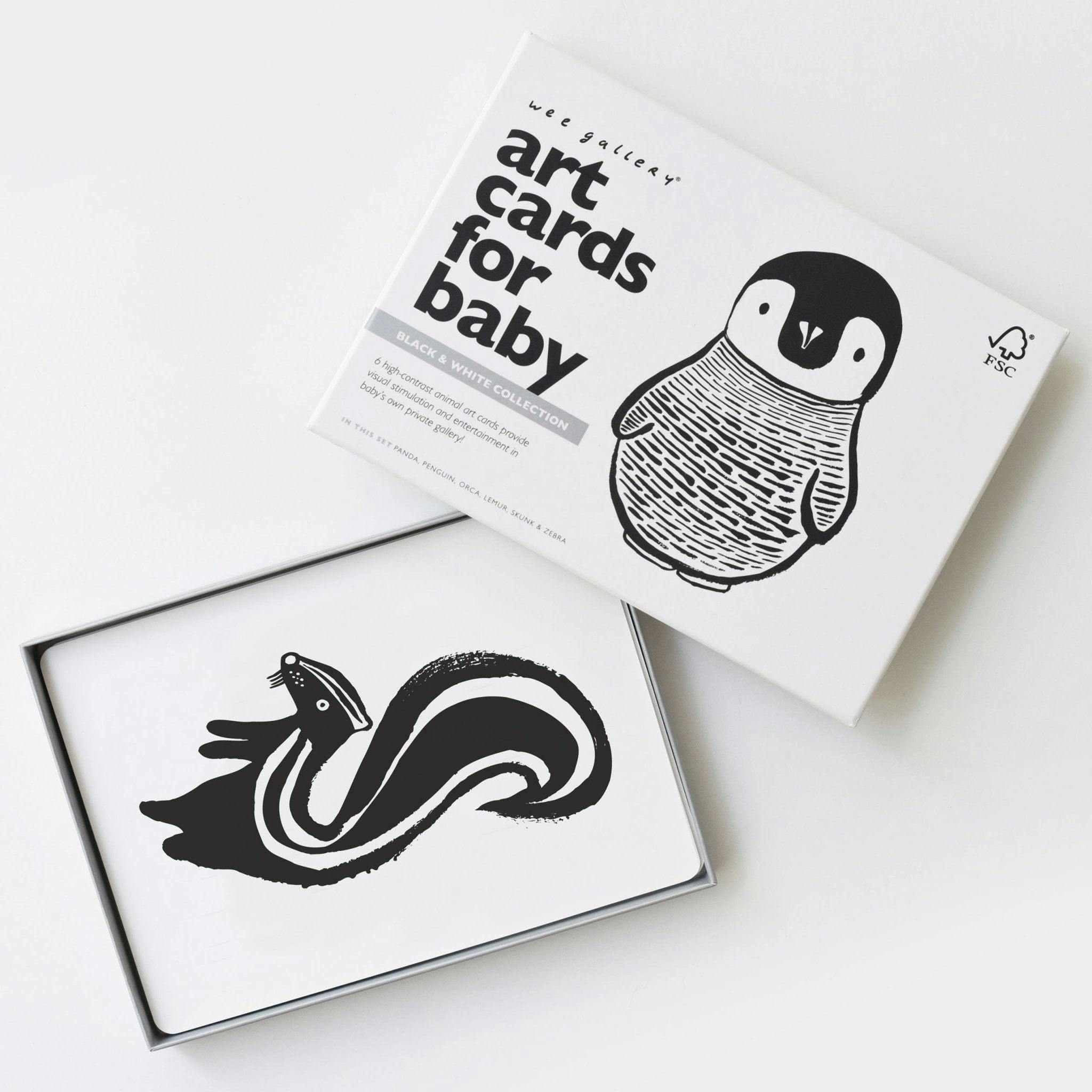 Black and White Art Cards for Baby
