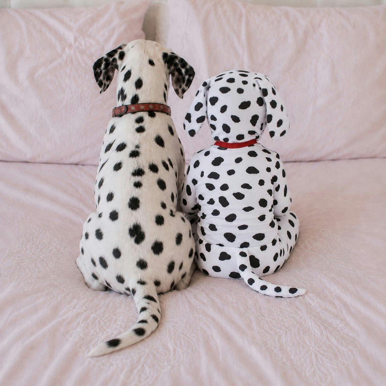 Dalmatian Costume