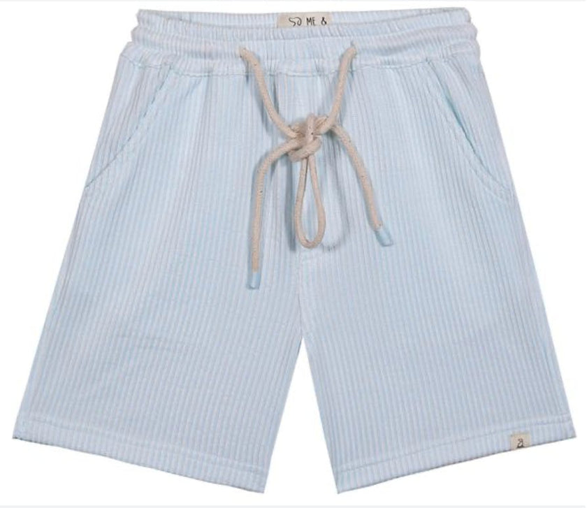 SPLISH BLUE WIDE STRIPE JERSEY KNIT SHORTS