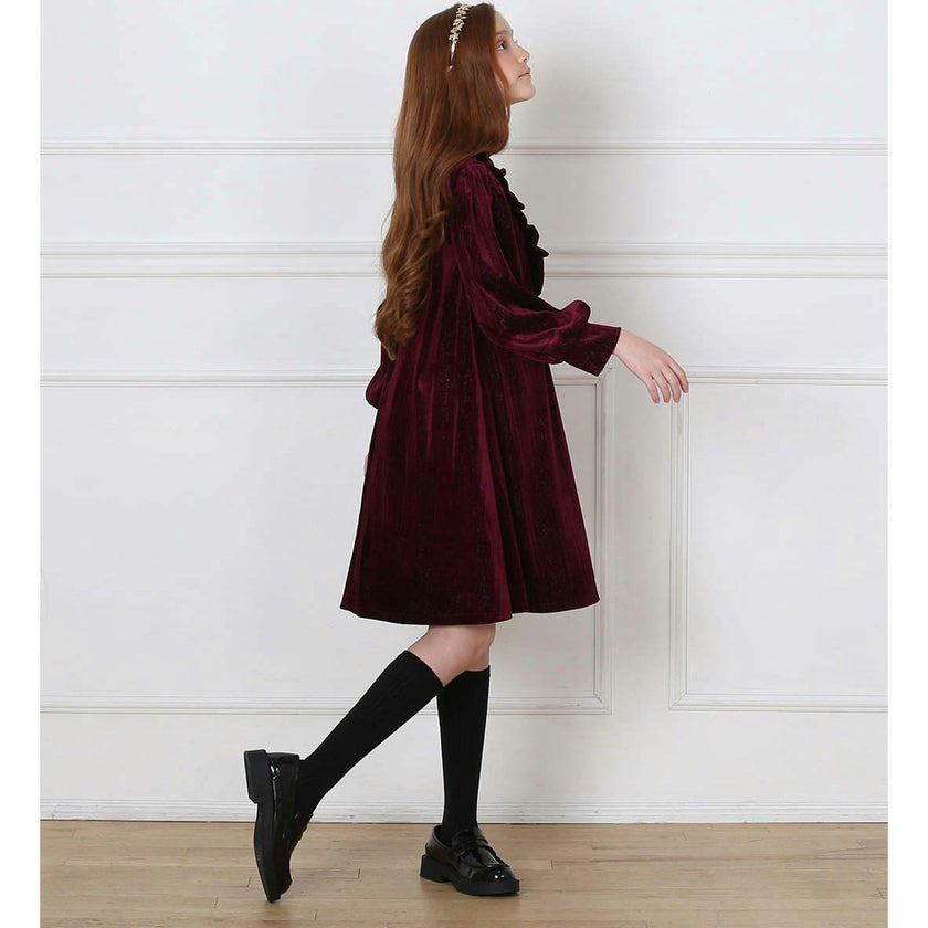 Lena dress (garnet velvet)
