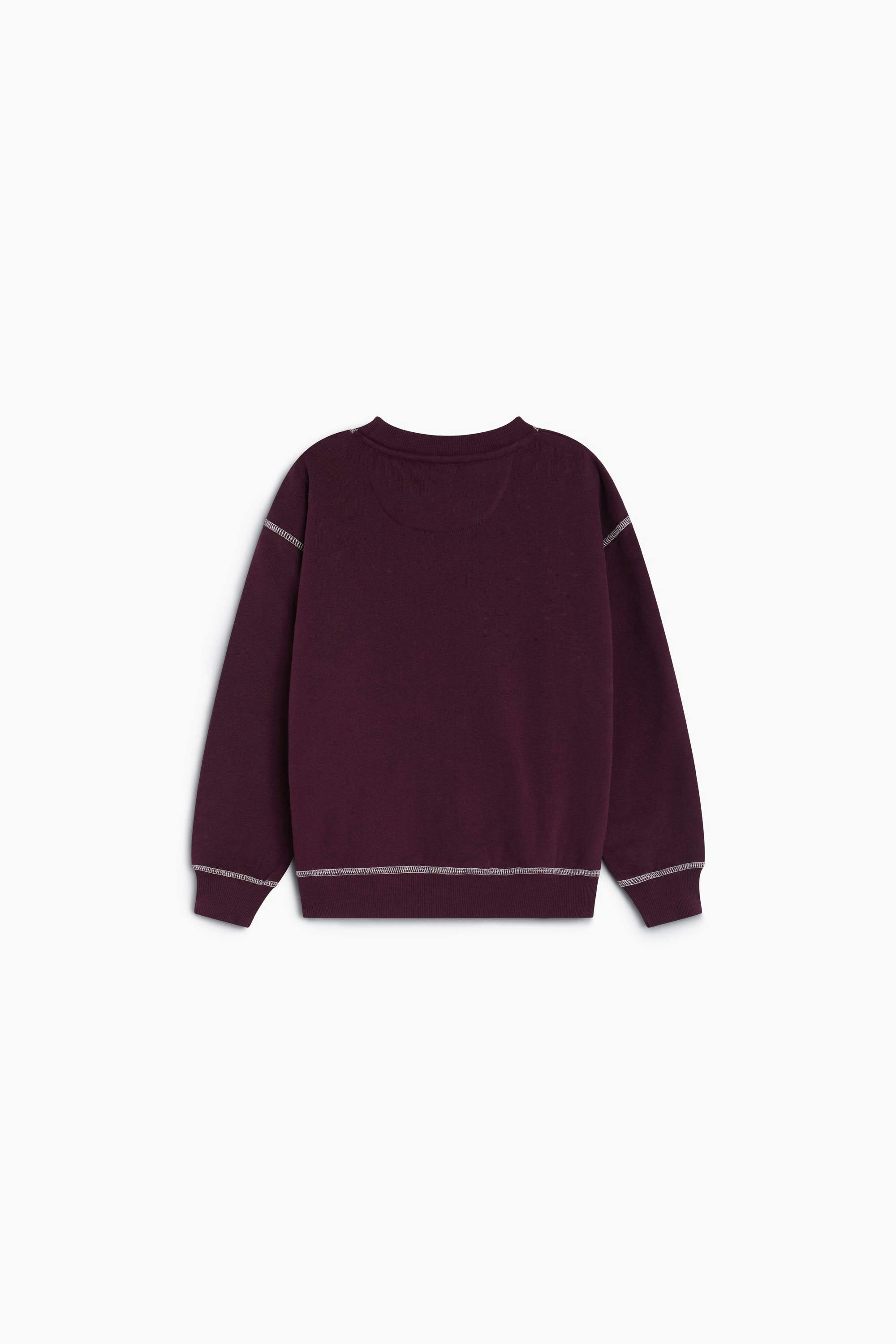 TNS Logo Special Sweatshirt Winetasting