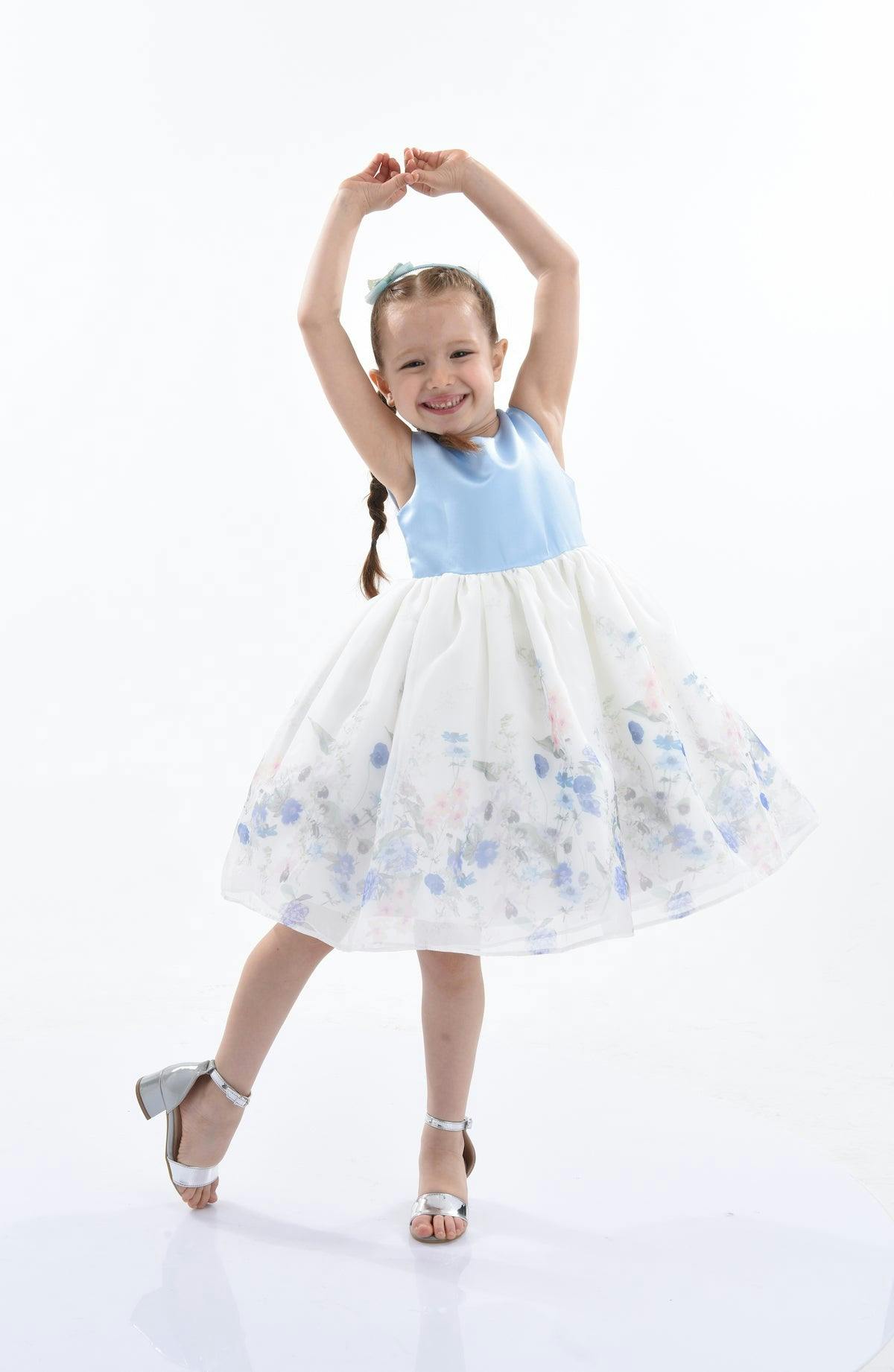 Blue Mabel Floral Garden Organza Dress