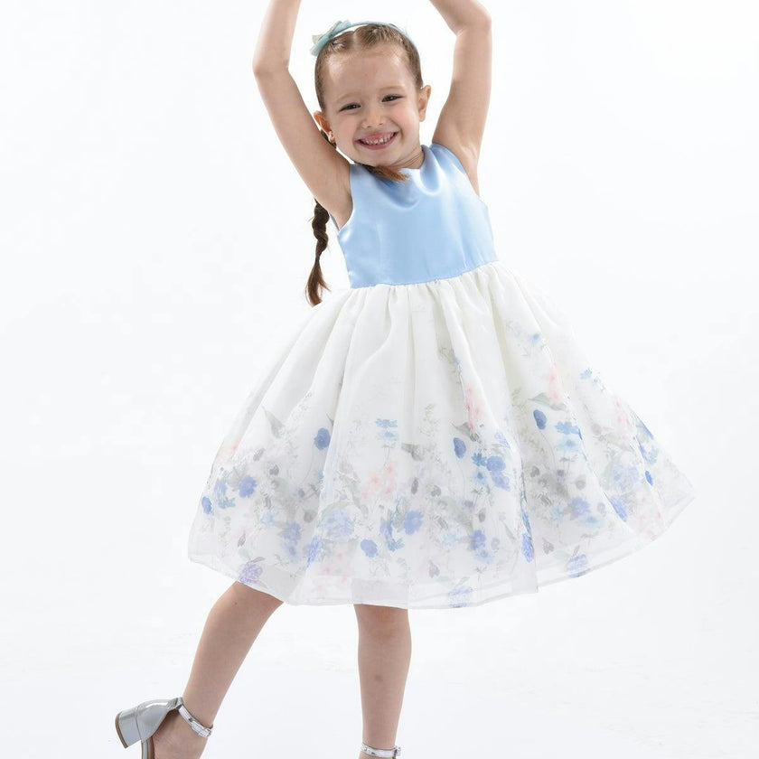 Blue Mabel Floral Garden Organza Dress