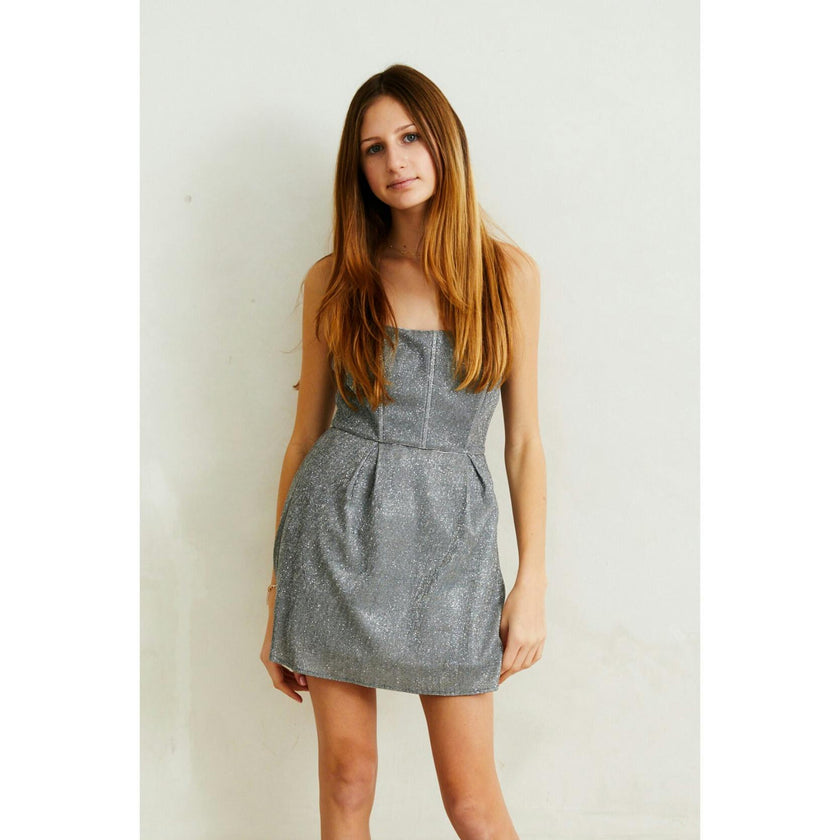 Roxi Silver Corset dress