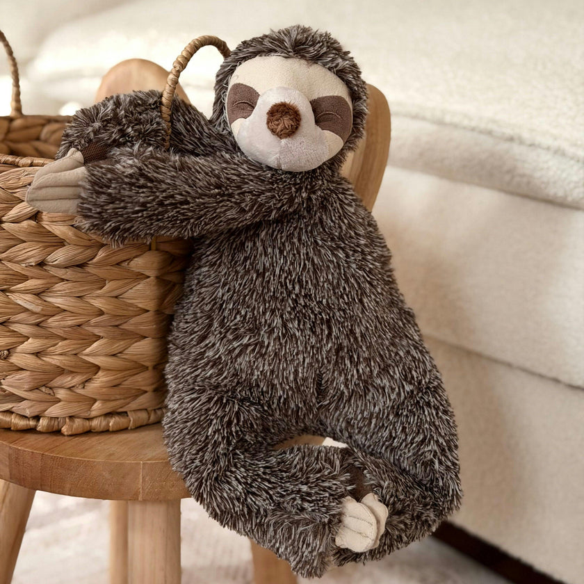 Sunny the sloth