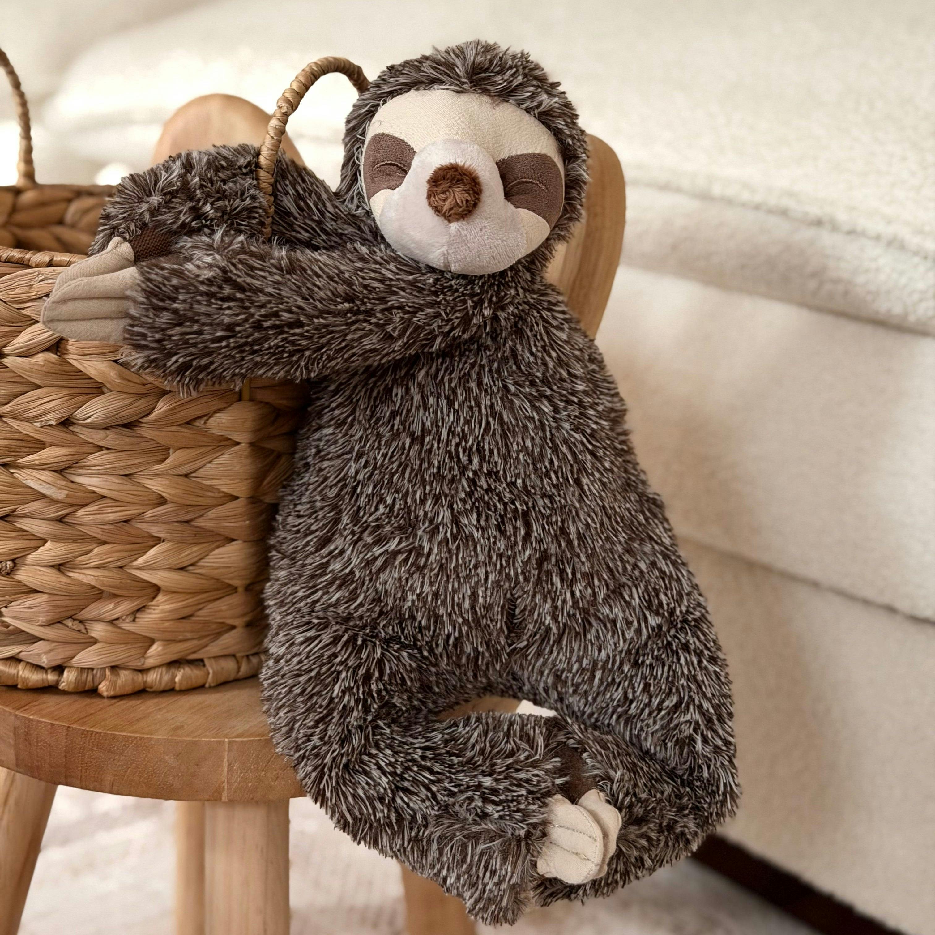 Sunny the sloth