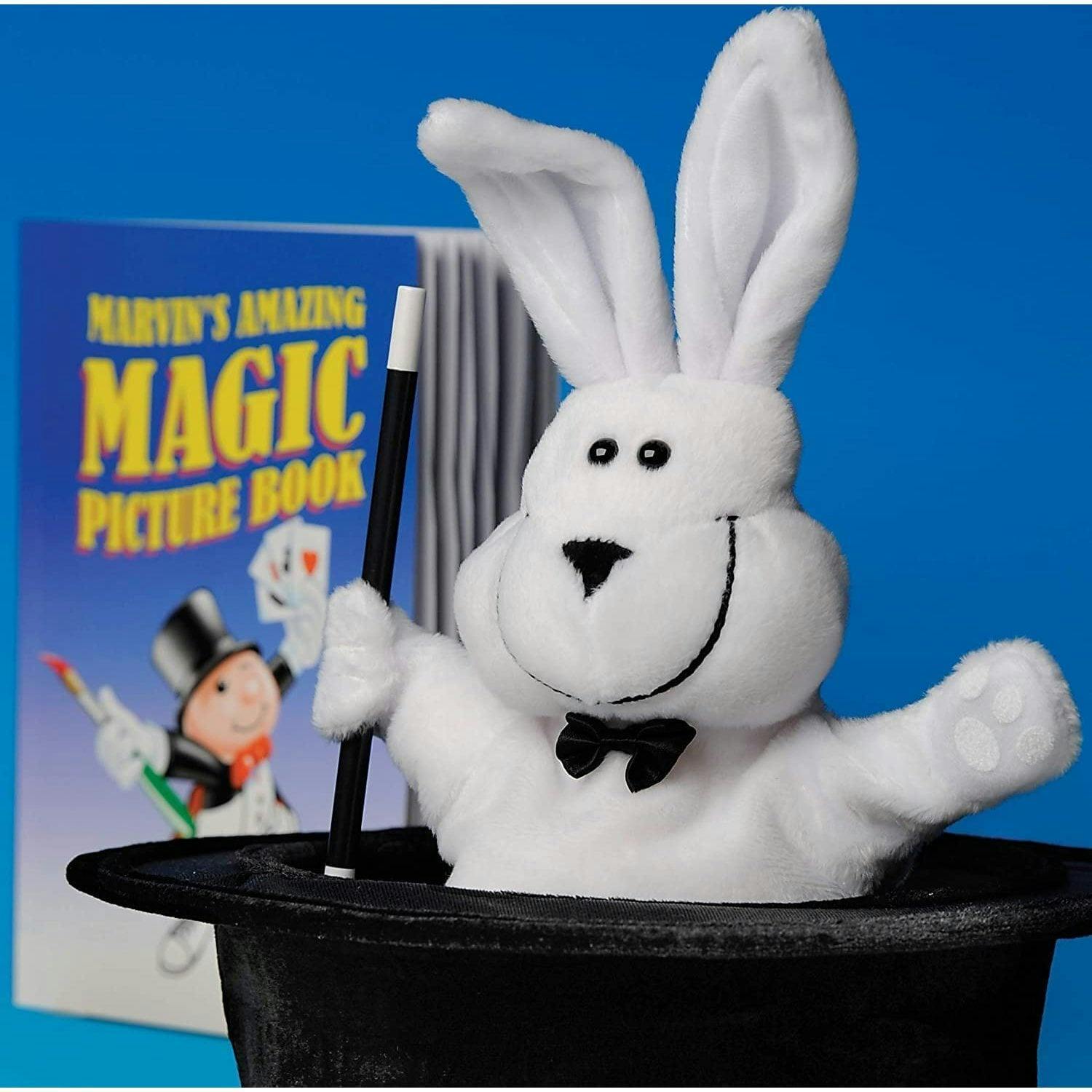 Marvin's Magic and Hat