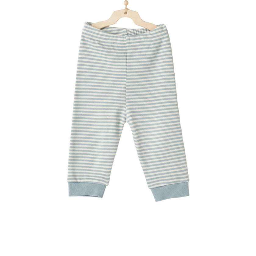 Dino Stripe PJ Set