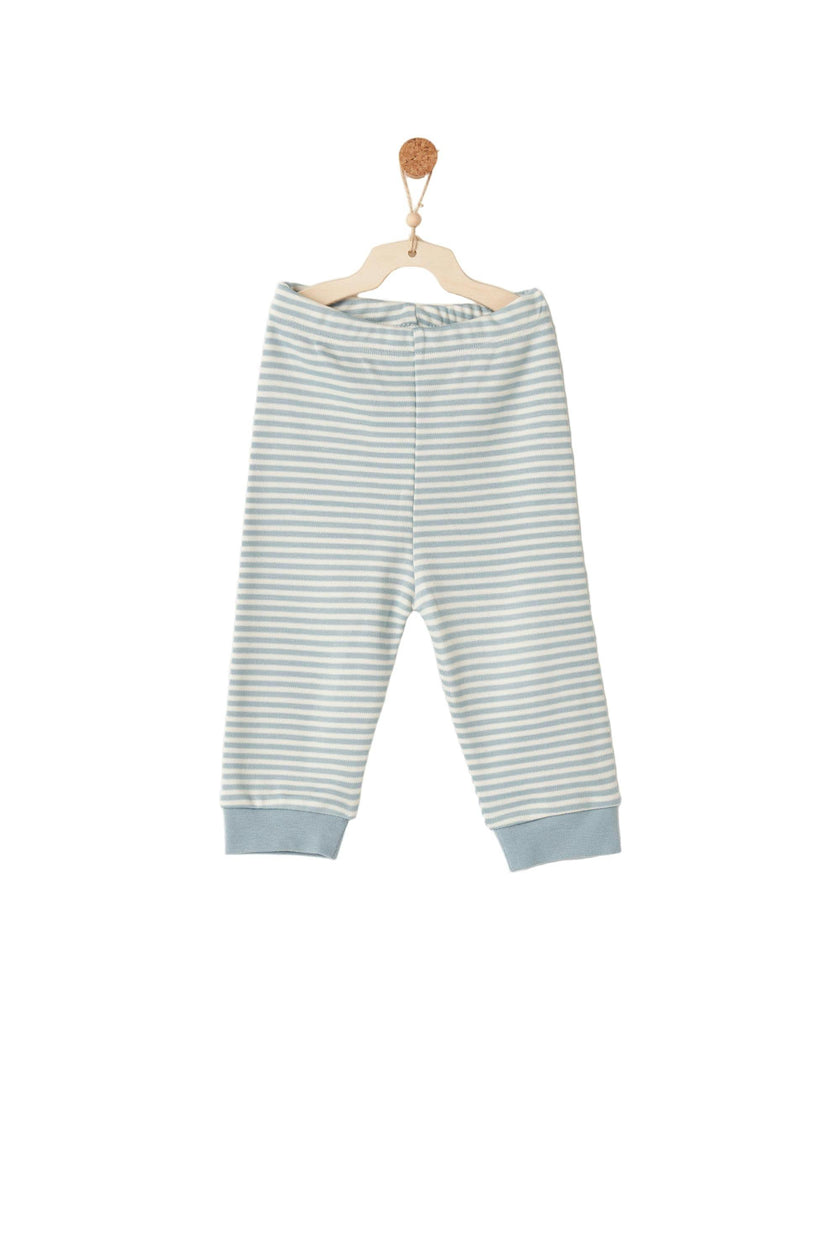 Dino Stripe PJ Set