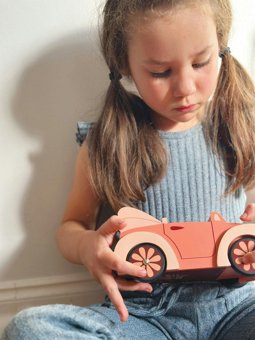 Dolls House Car