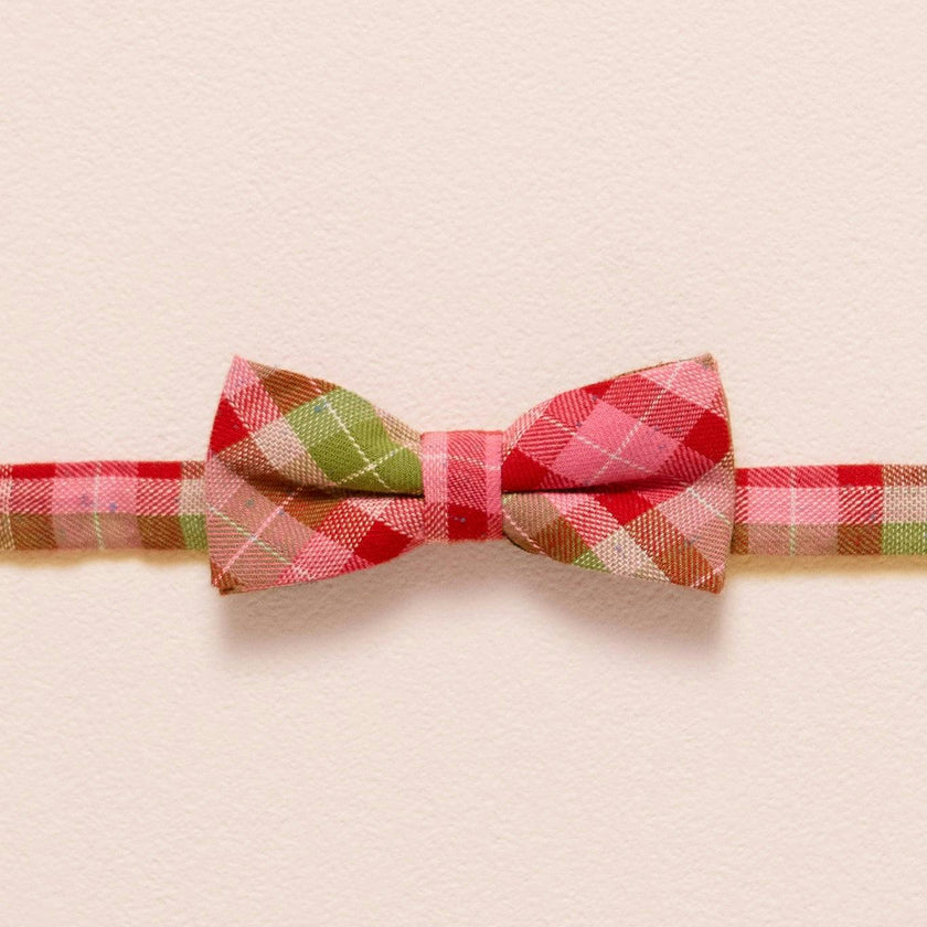 Ties in Rosewood Tartan