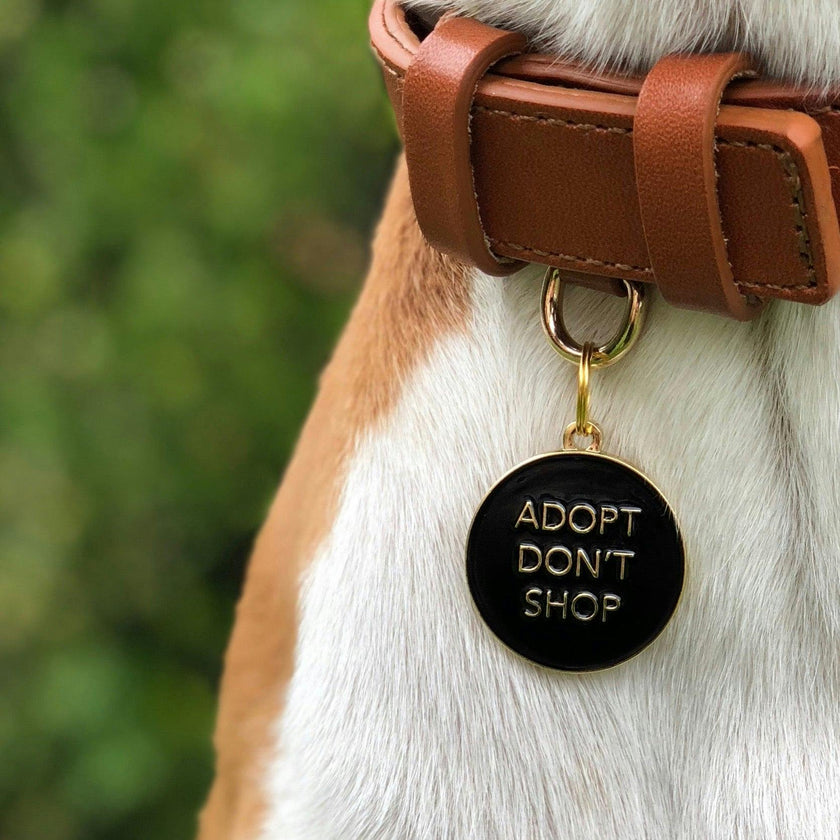 Adopt Don’t Shop Pet ID Tag