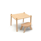 Conversion Kit from PAGO changing table to children's table