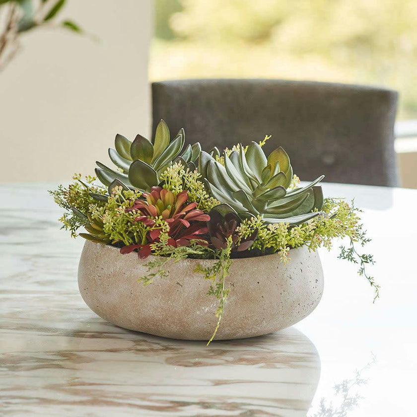 round succulent arrangement Round Succulent Arrangement – Natural Planter