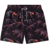 Kids Dino Bones