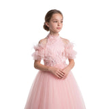 Pink Freya Lace Embellished Tulle Gown