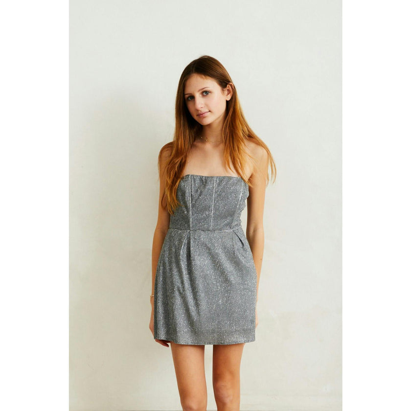 Roxi Silver Corset dress
