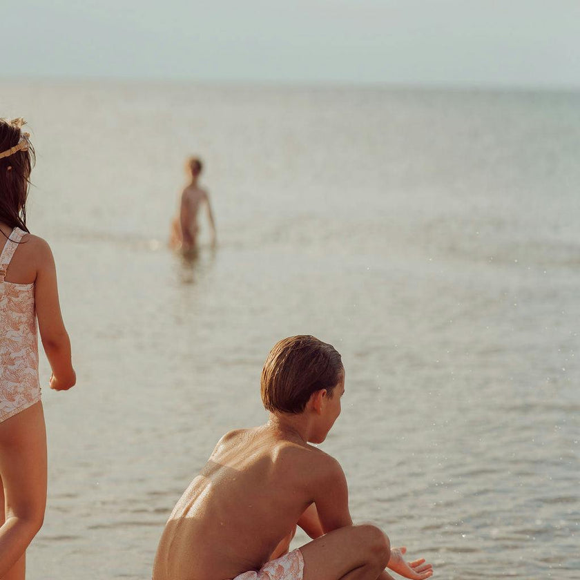 Swim Trunks | UPF + Recycled - Pegasus