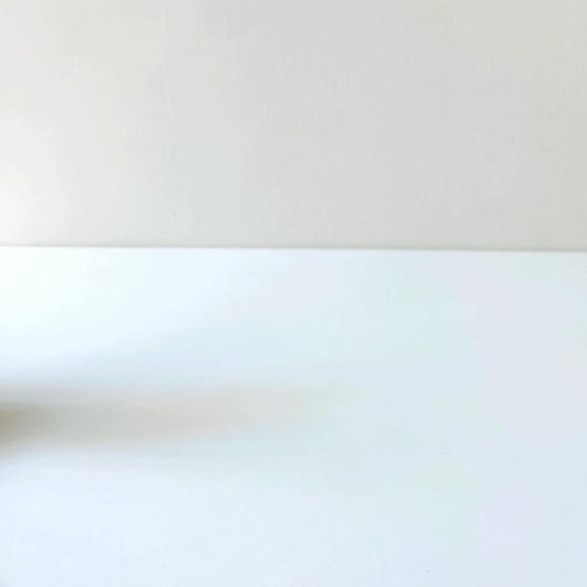 Wee Gallery Push Toy -