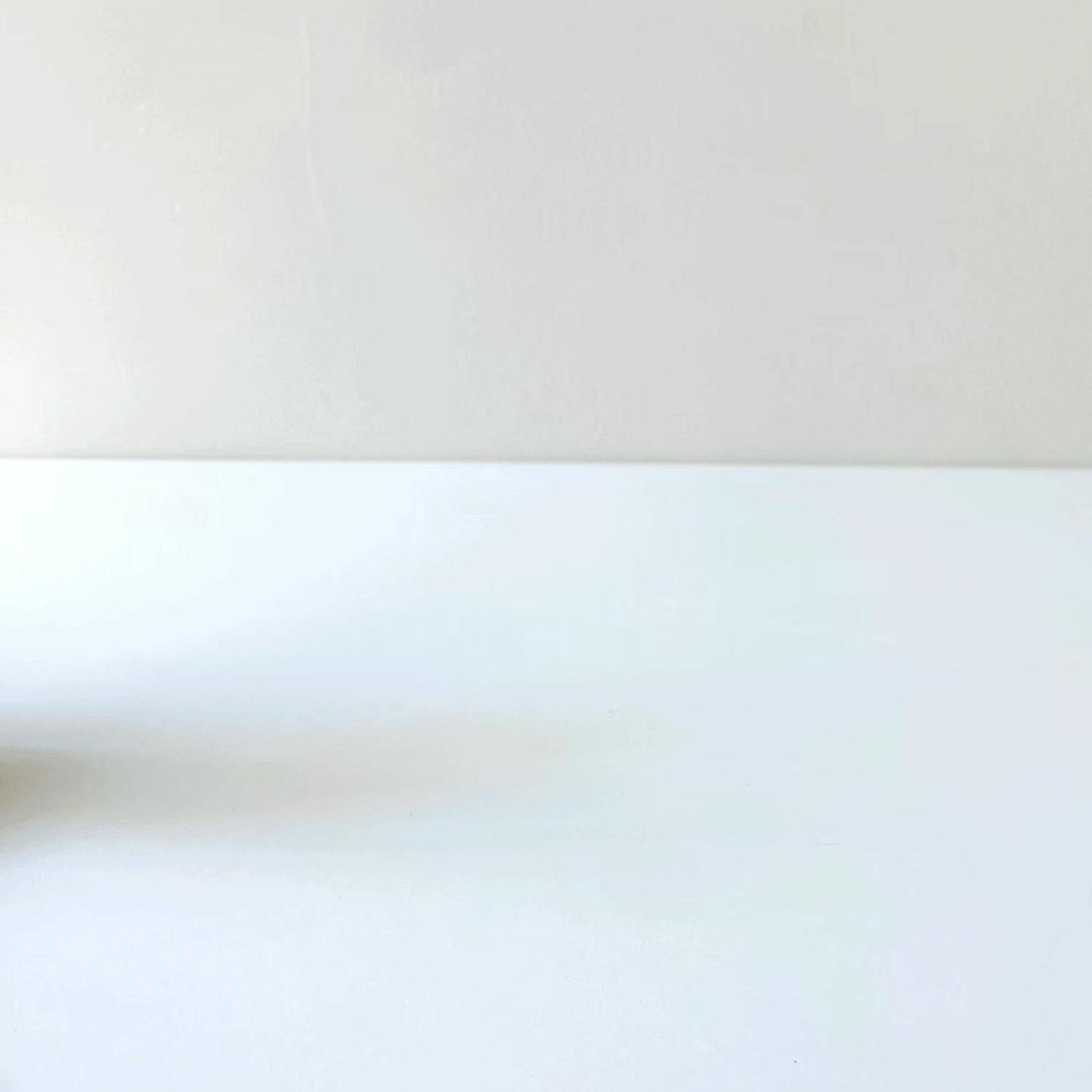Wee Gallery Push Toy -