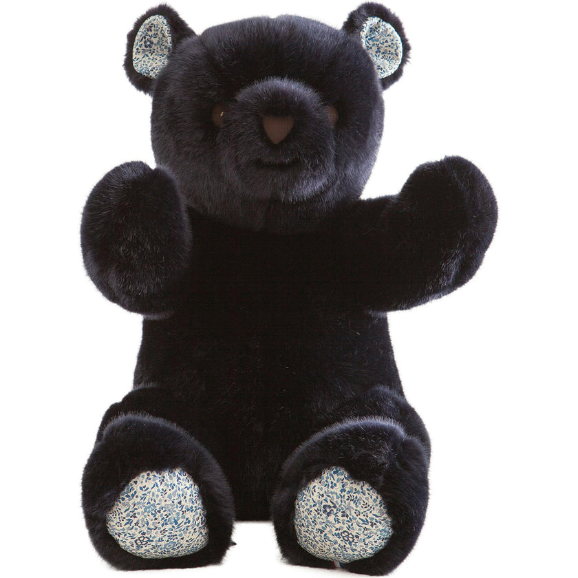 Robert the Bear