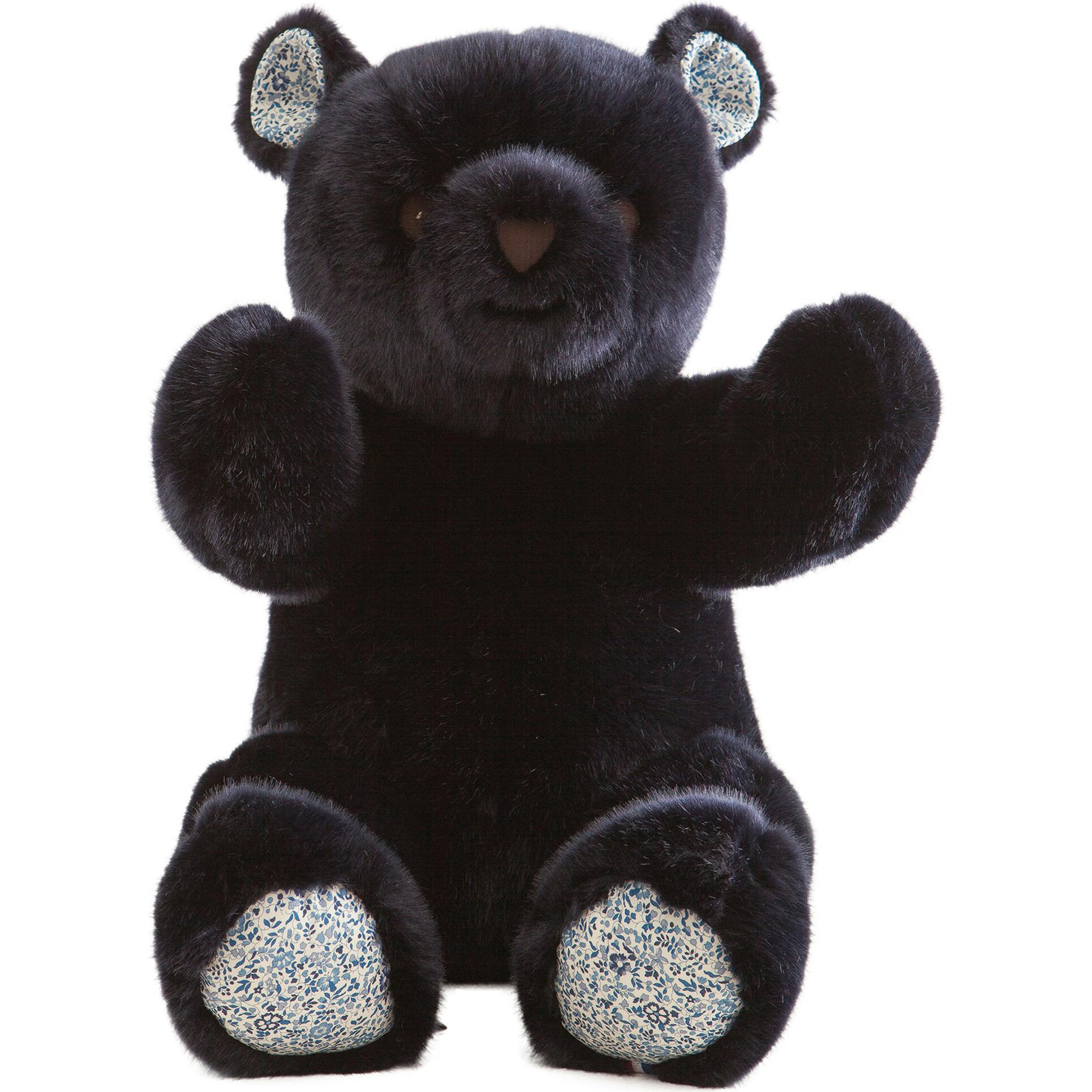 Robert the Bear