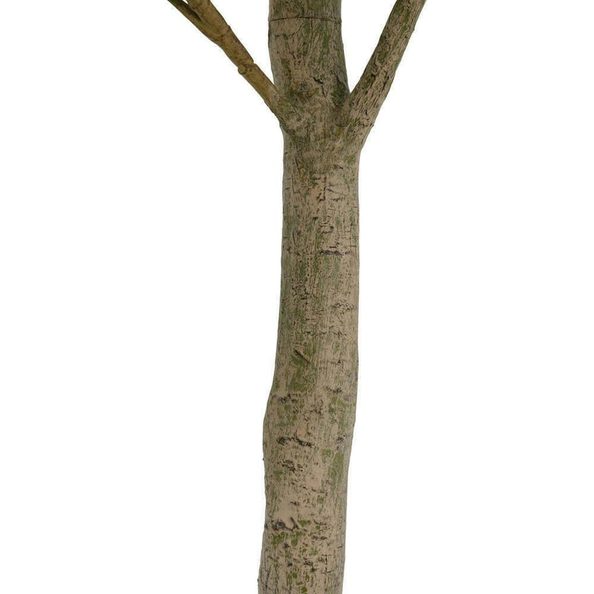 7' Faux Potted Money Tree