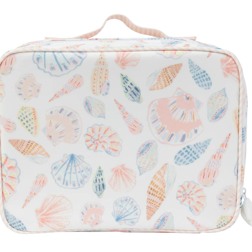 The Lunchbox in Shells