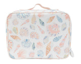 The Lunchbox in Shells