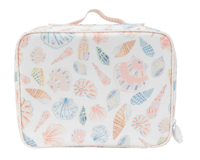 The Lunchbox in Shells