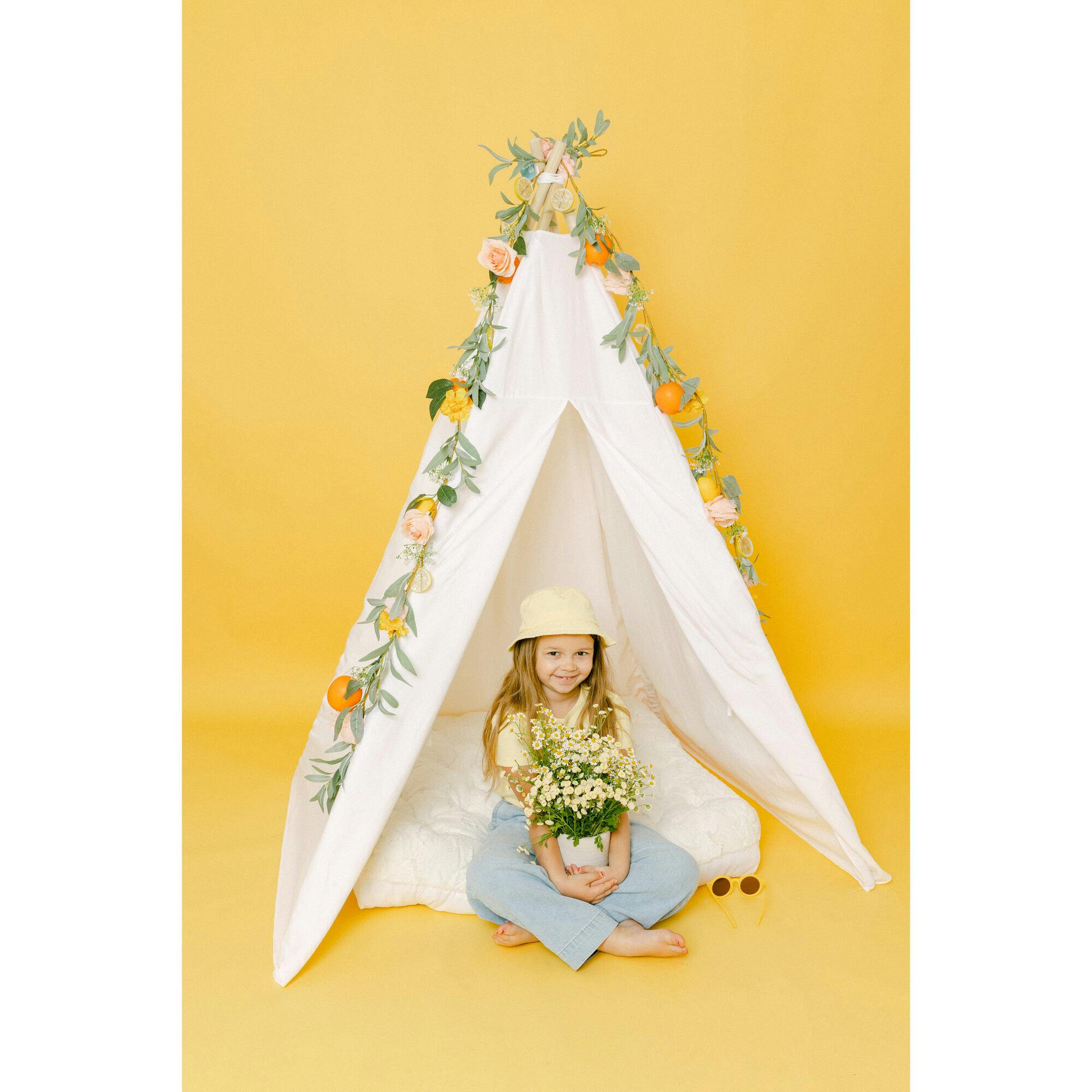 Taylor Play Tent
