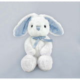 Personalized Little Blue Welcome Baby Hamper