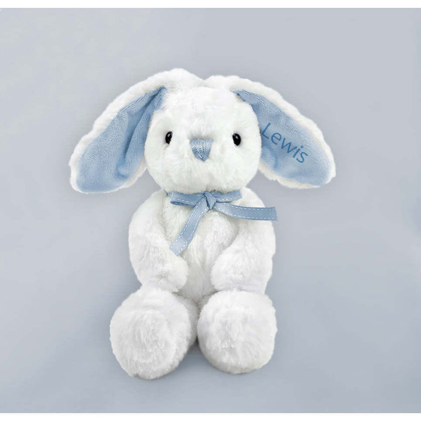 Personalized Little Blue Welcome Baby Hamper