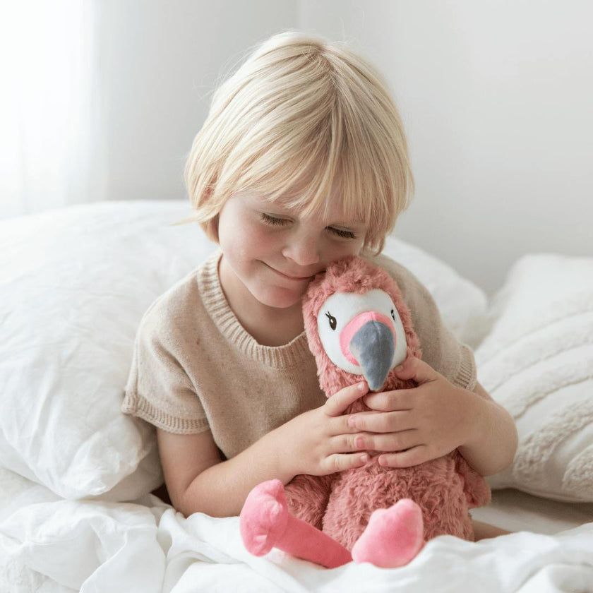 Francesca The Weighted Flamingo