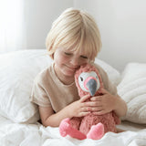 Francesca The Weighted Flamingo
