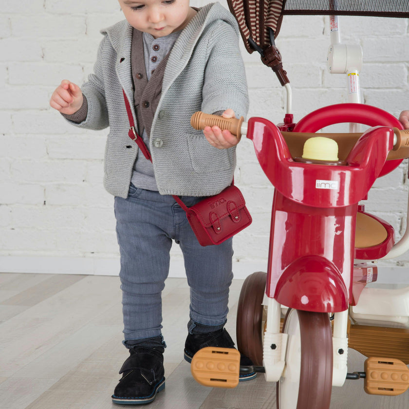 3-in-1 Folding Tricycle