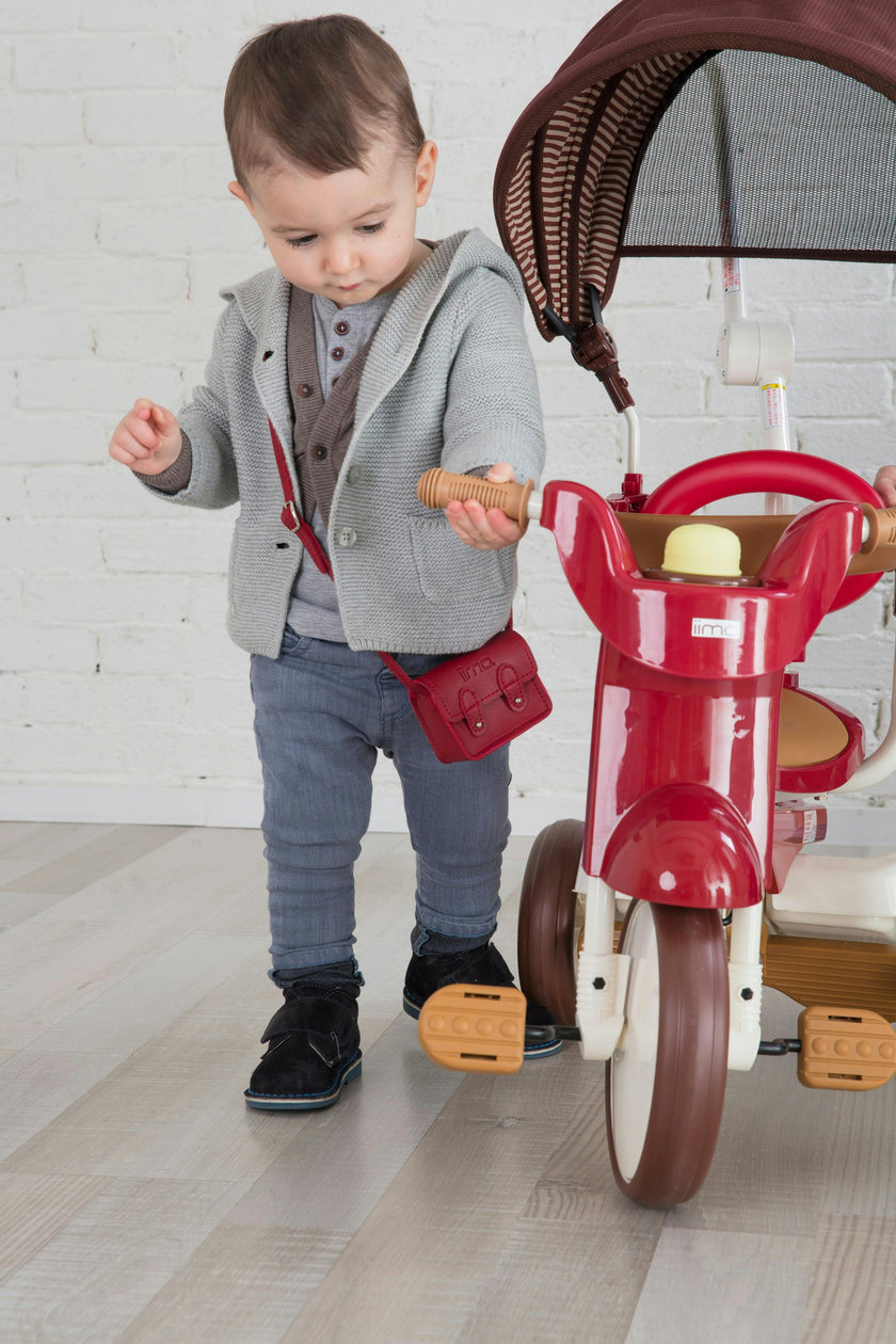 3-in-1 Folding Tricycle