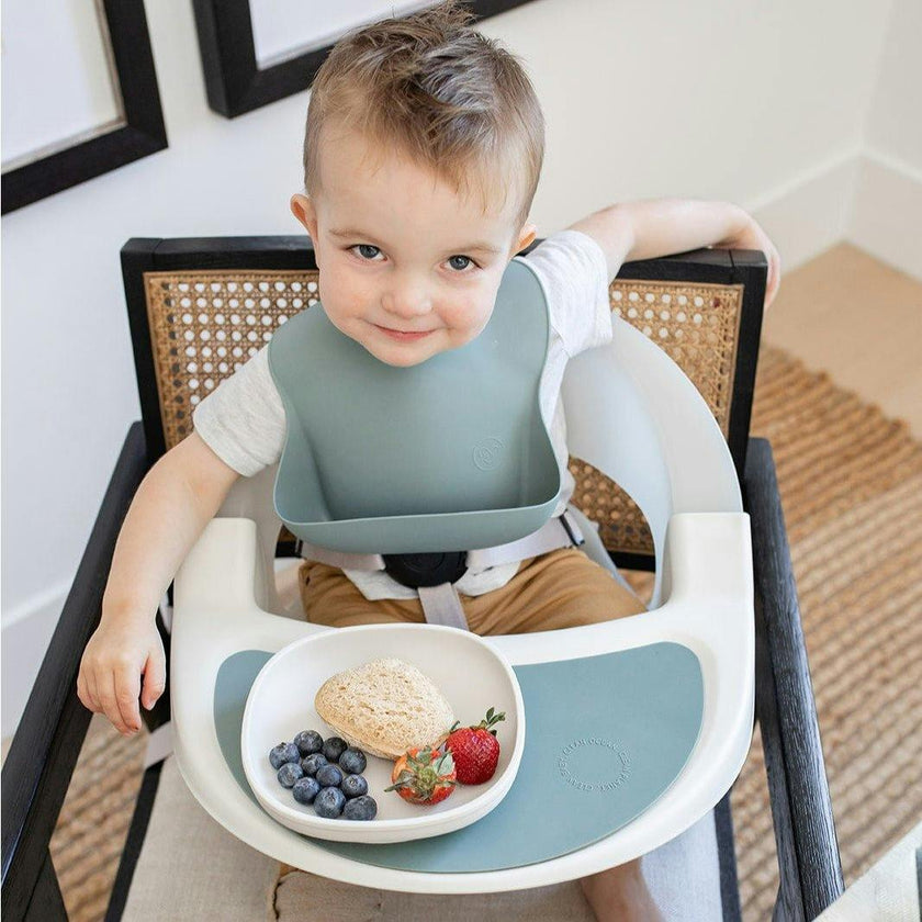 Terra 2-in-1 High Chair & Booster