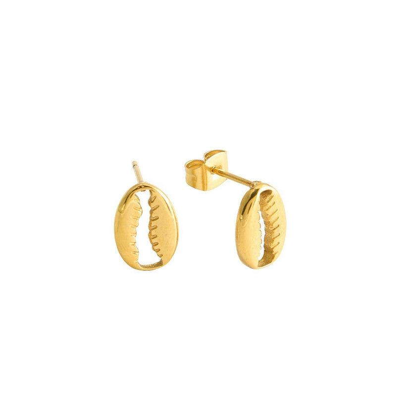 Cowrie Shell Studs