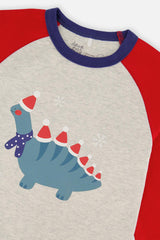 Organic Cotton Two Piece Pajama Set Blue Dinosaur Print