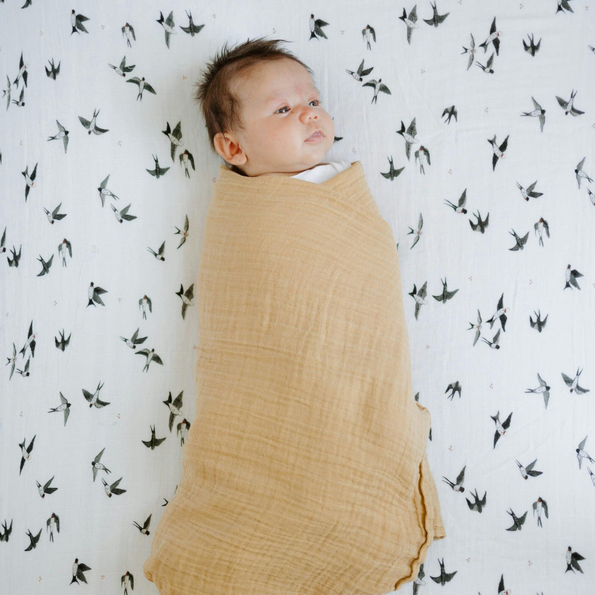 Organic Cotton Muslin Crib Sheet - Swallows