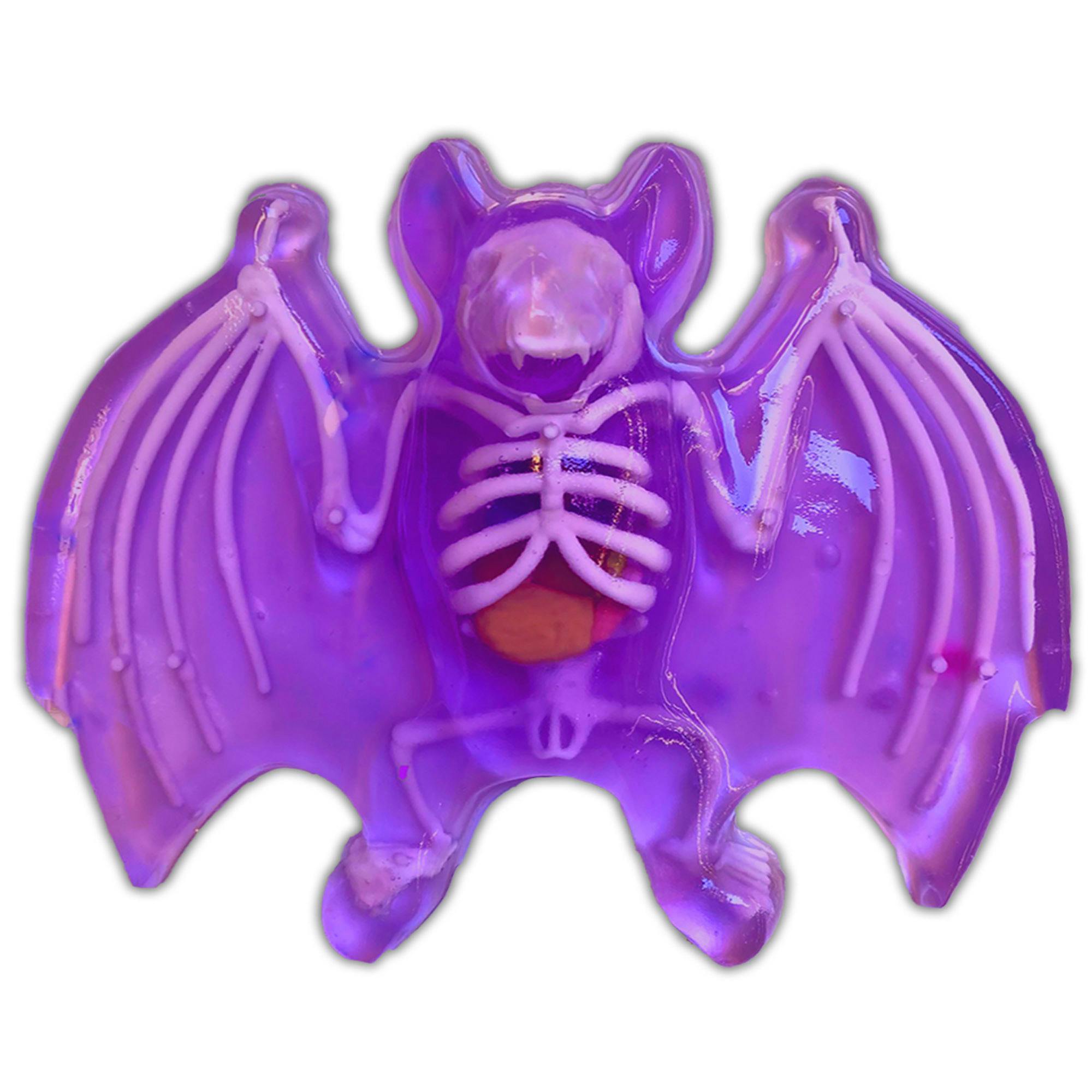 Dissect-It: Bat Lab