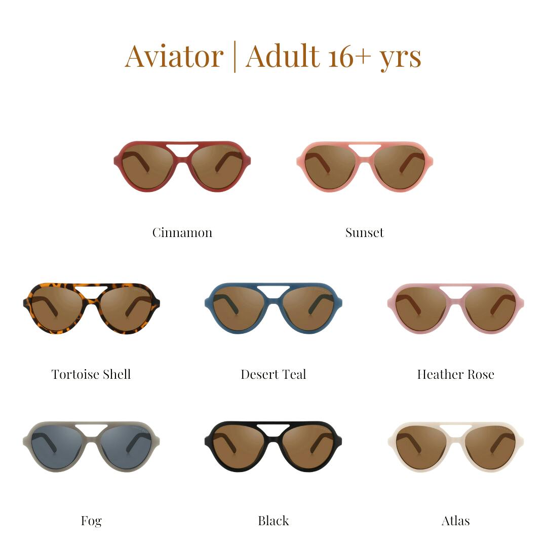 Aviator | Polarized Sunglasses | Adult | 15+ Y | Black