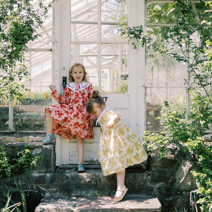 The Garden Dress |Vintage Rose