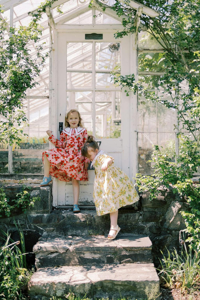 The Garden Dress |Vintage Rose