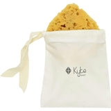 Sea Sponge
