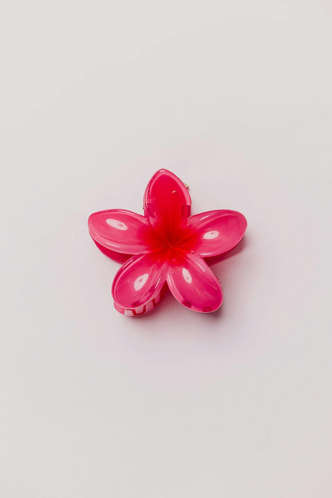 HIBISCUS FLOWER CLAW