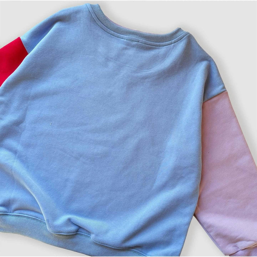 Colorblock Crewneck Sweatshirt