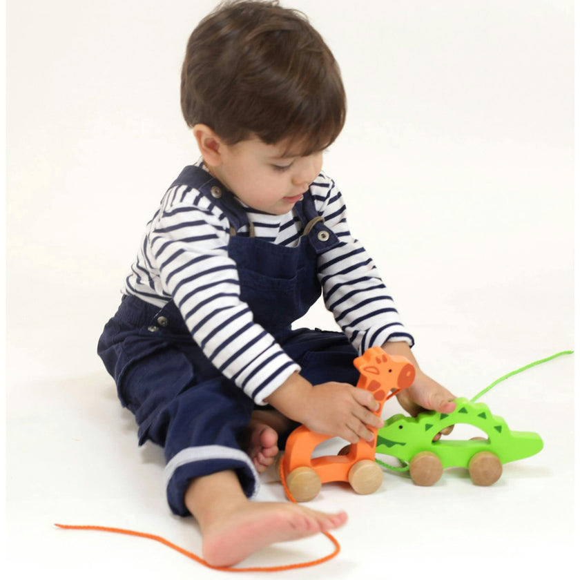 Hape: Push & Pull - Orange - Wooden Toy