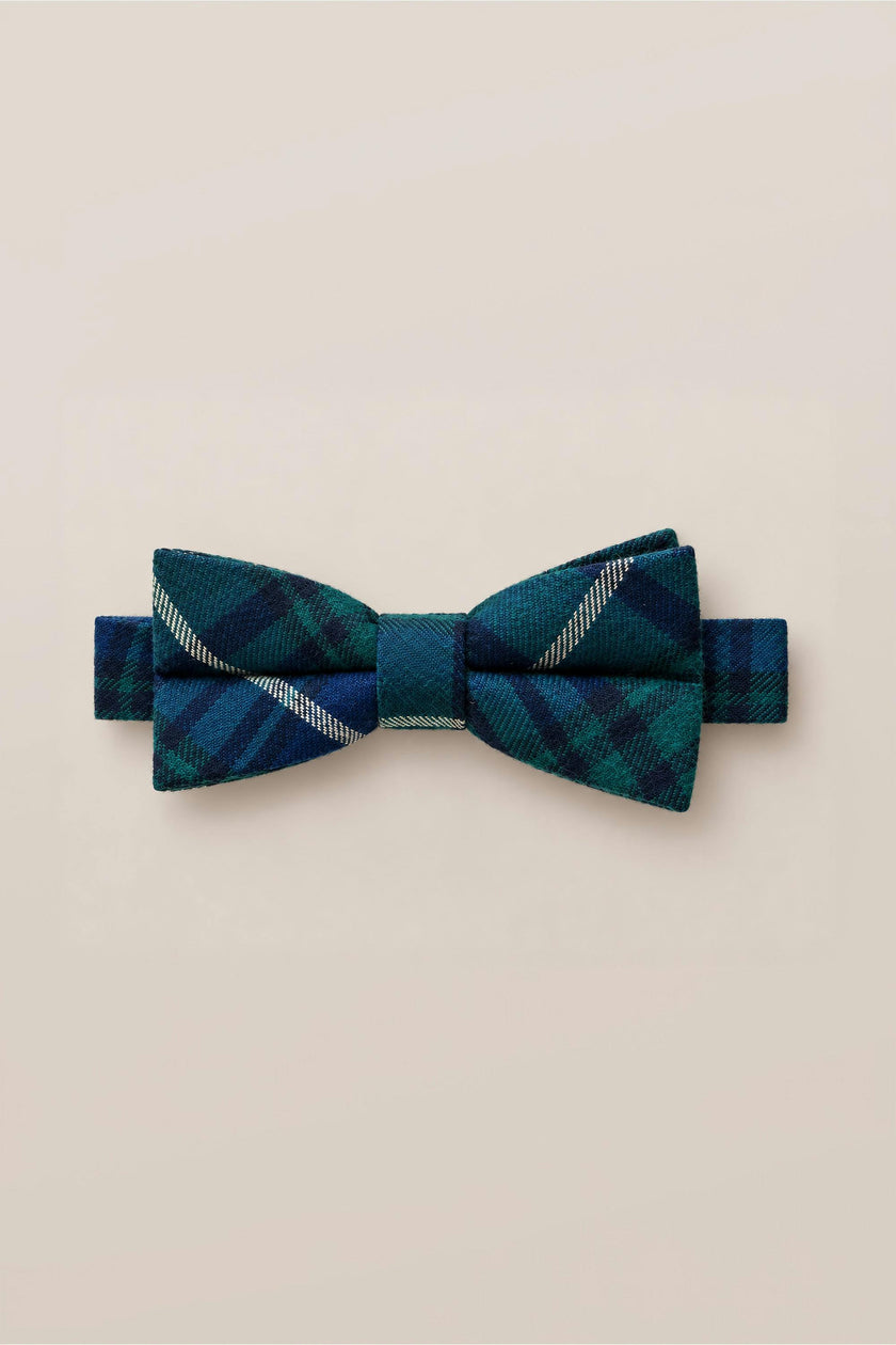 Ties in Emerald Plaid